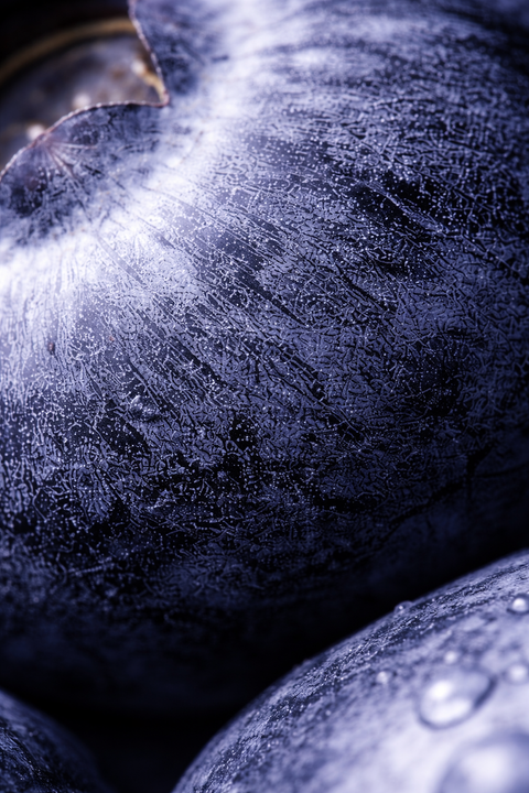BLUEBERRY EXTRACT