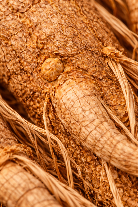 BOTALYS® RED GINSENG