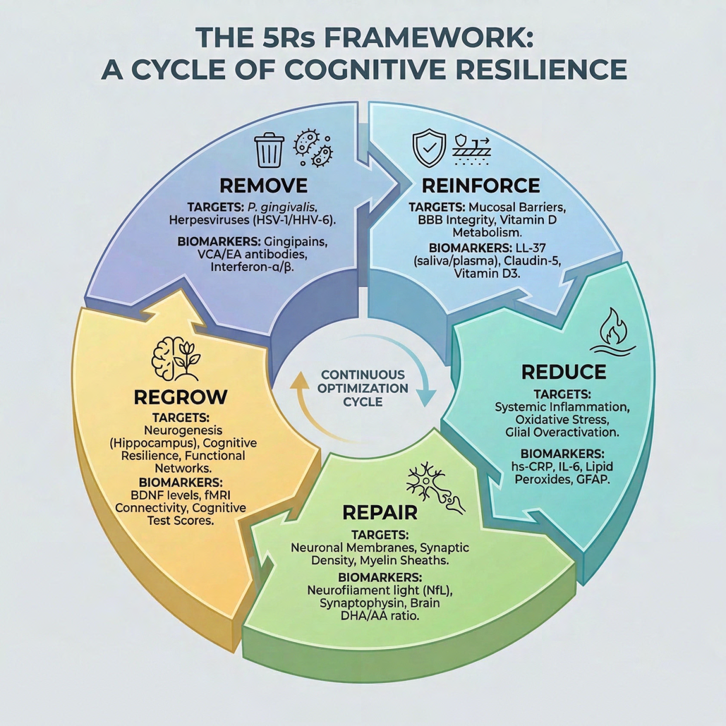 The Bevimi 5Rs framework shown as a continuous optimization cycle: Remove, Reinforce, Reduce, Repair, and Regrow, each with its targets and biomarkers.
